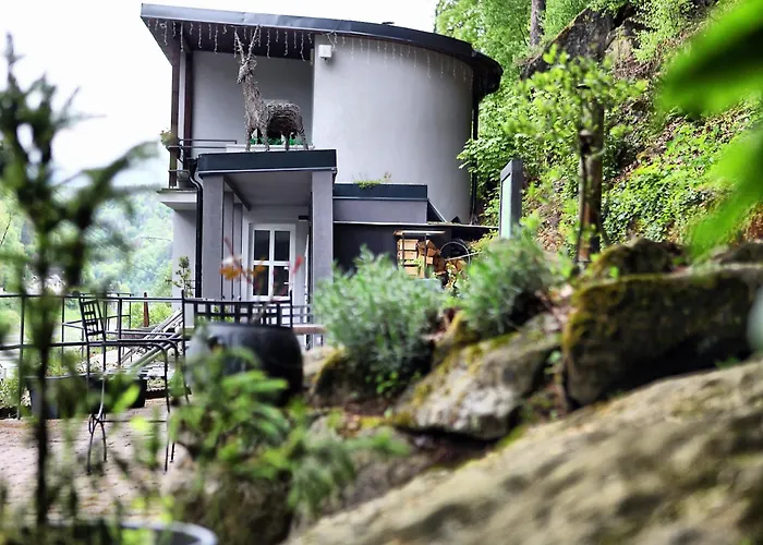 Holiday House Panda